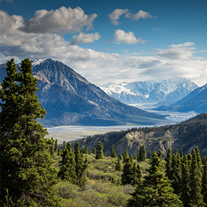 Yukon-Thumbnail